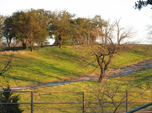 c1204 field, trees 